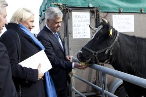 Klimawoche Regionalmarkt